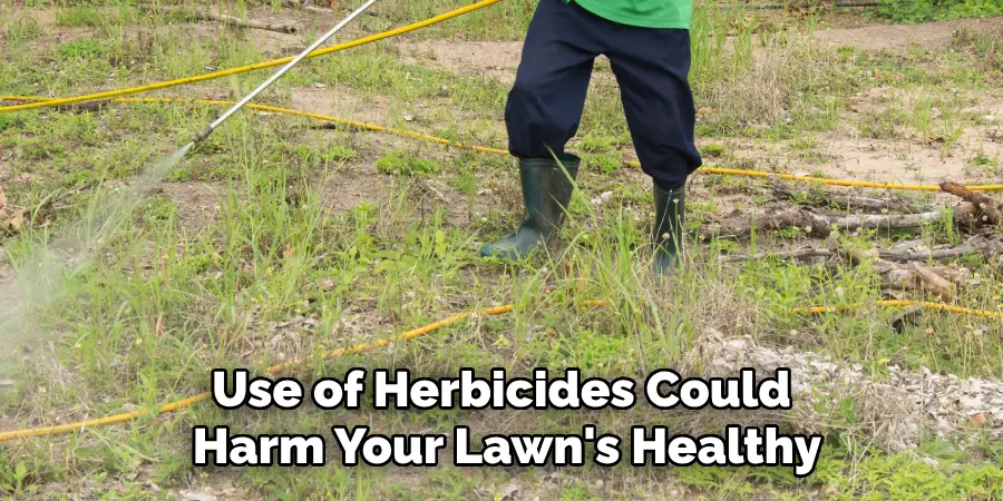 Use of Herbicides Could Harm Your Lawn's Healthy