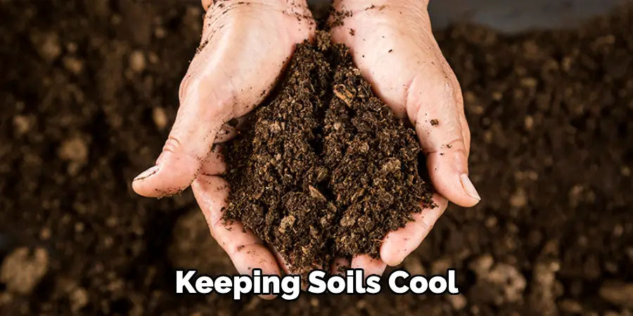 Keeping Soils Cool