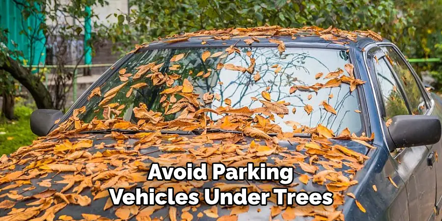  Avoid Parking Vehicles Under Trees