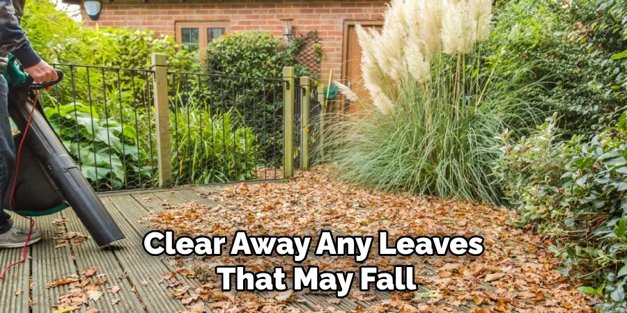 Clear Away Any Leaves That May Fall