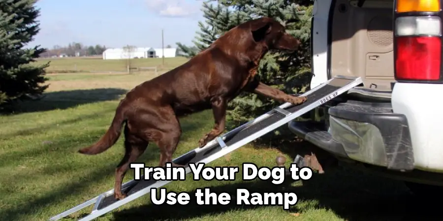 Train Your Dog to Use the Ramp