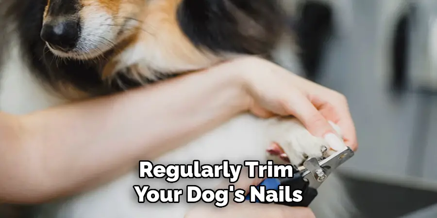 Regularly Trim Your Dog's Nails