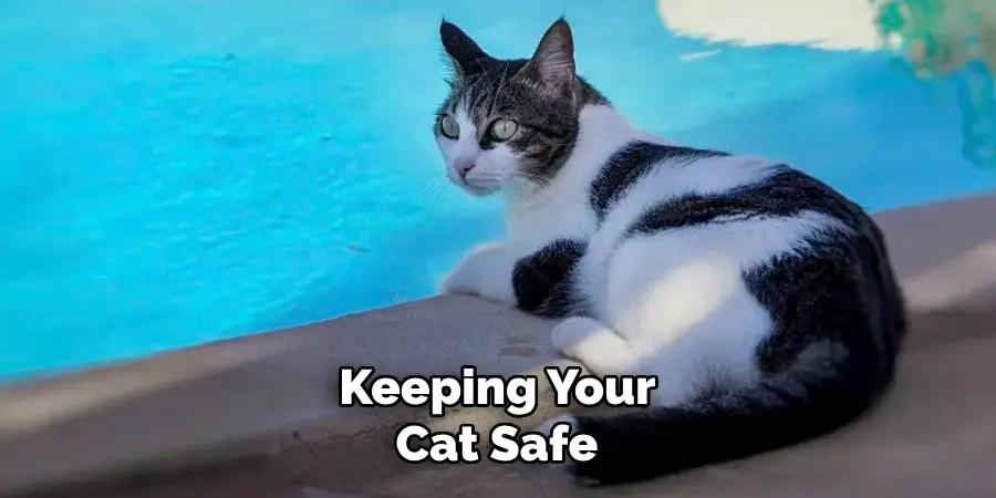  Keeping Your Cat Safe