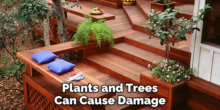 Plants and Trees Can Cause Damage