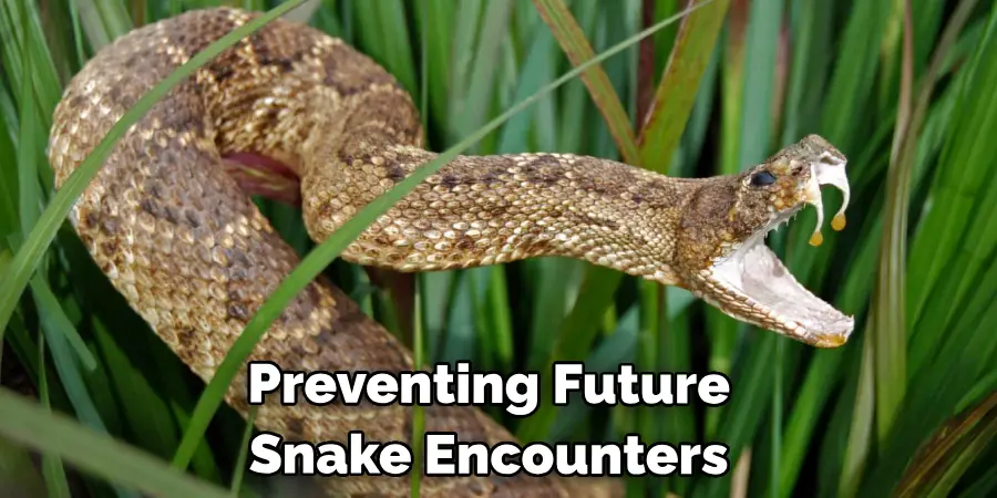 Preventing Future Snake Encounters.