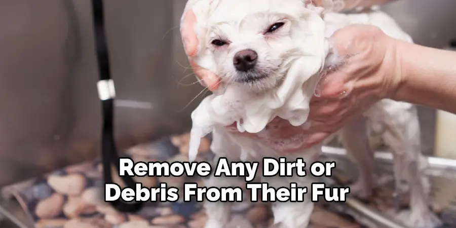 Remove Any Dirt or Debris From Their Fur