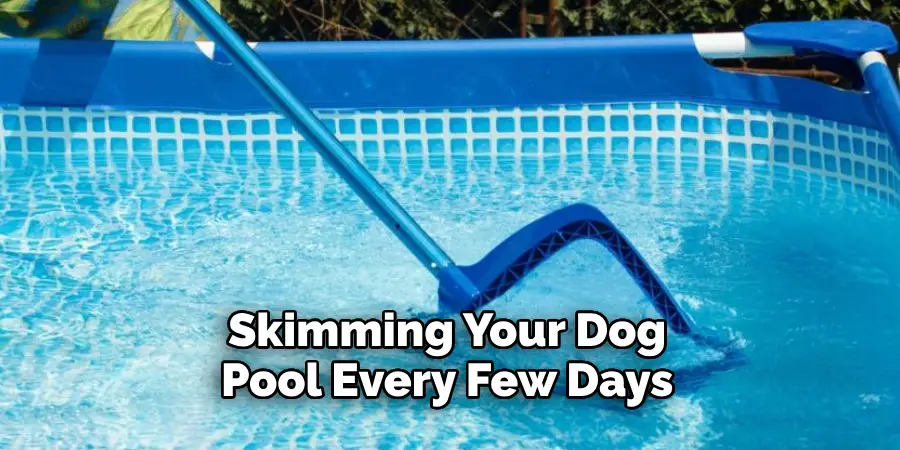 Skimming Your Dog Pool Every Few Days