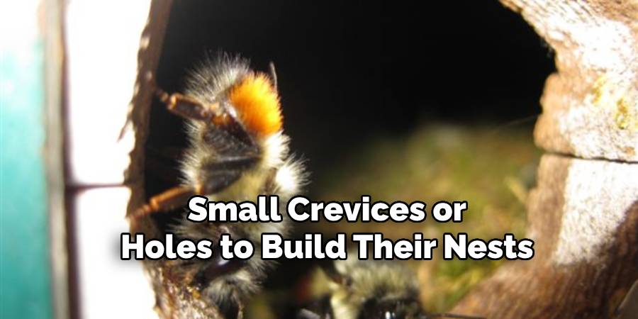 Small Crevices or Holes to Build Their Nests