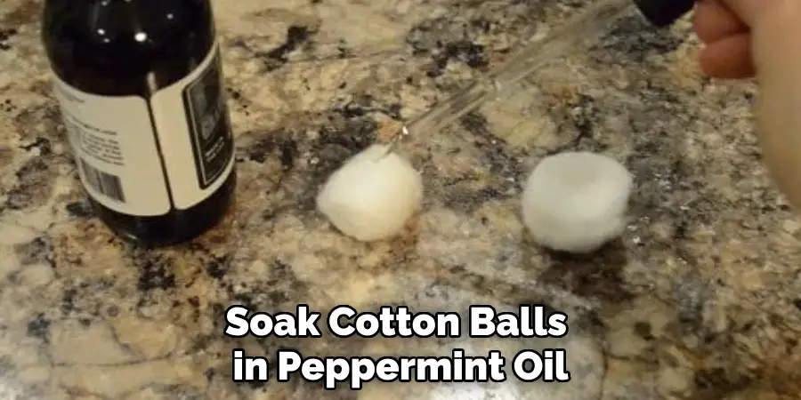 Soak Cotton Balls in Peppermint Oil