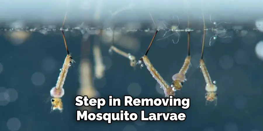 Step in Removing Mosquito Larvae