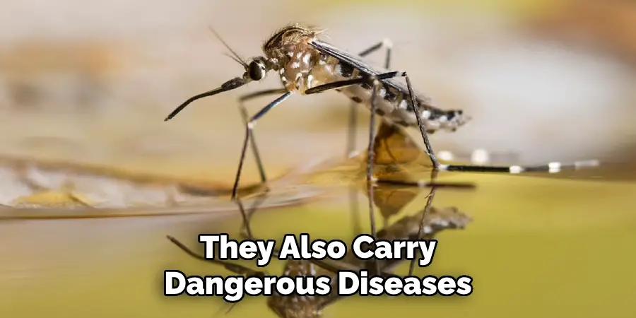 They Also Carry Dangerous Diseases