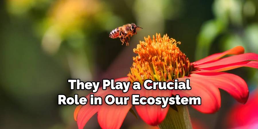 They Play a Crucial Role in Our Ecosystem