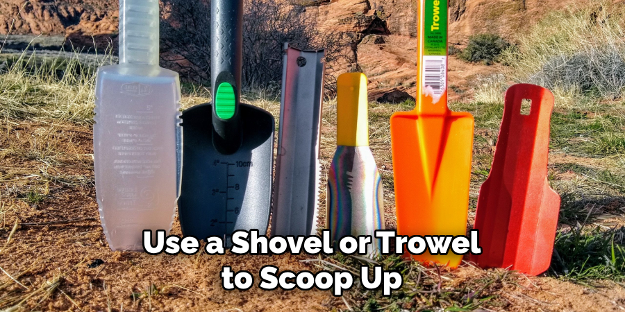 Use a Shovel or Trowel to Scoop Up