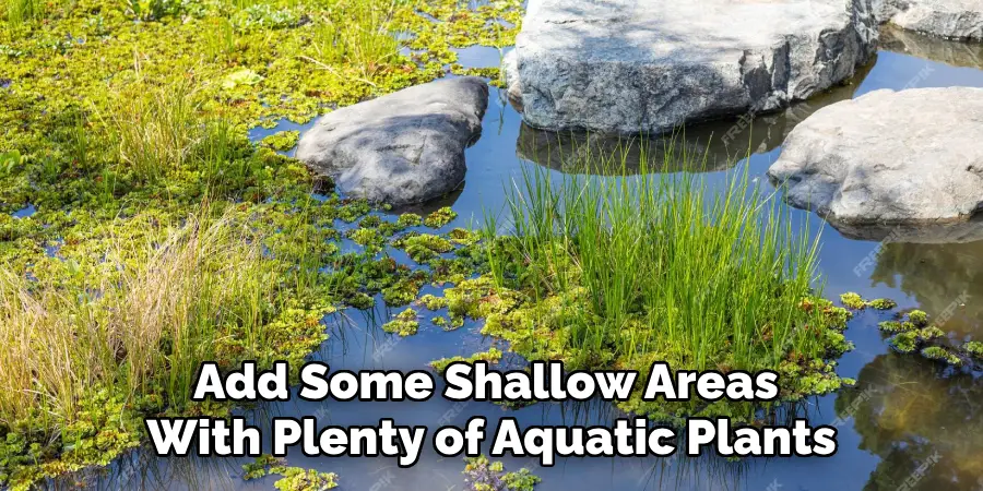 Add Some Shallow Areas With Plenty of Aquatic Plants