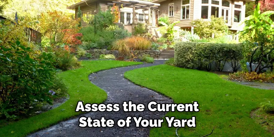 Assess the Current State of Your Yard