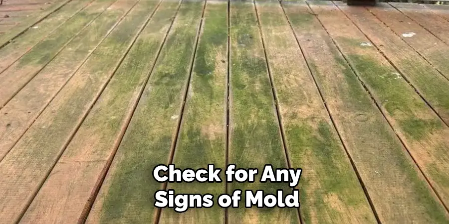 Check for Any Signs of Mold