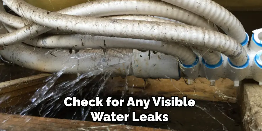 Check for Any Visible Water Leaks