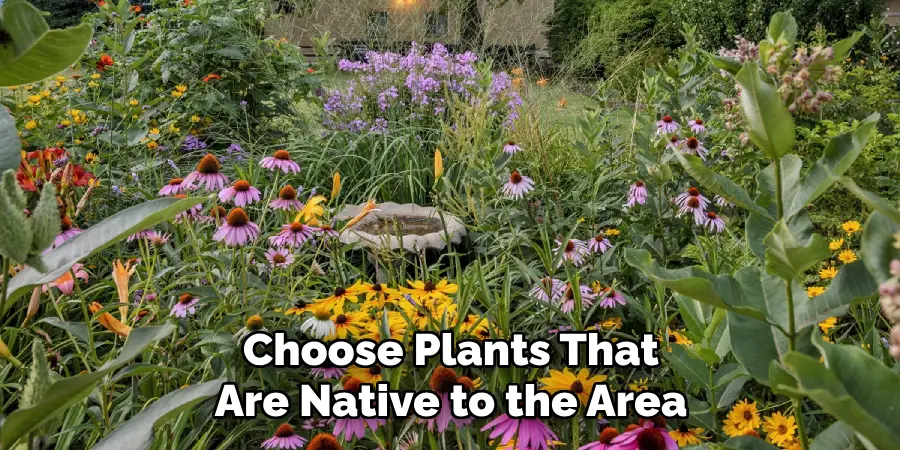 Choose Plants That Are Native to the Area