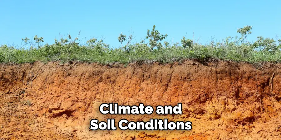 Climate and Soil Conditions