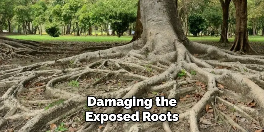 Damaging the Exposed Roots