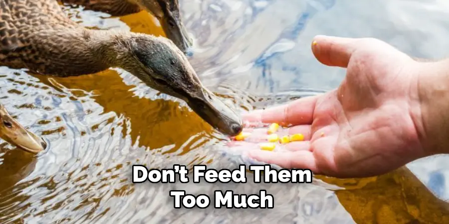 Don’t Feed Them Too Much 