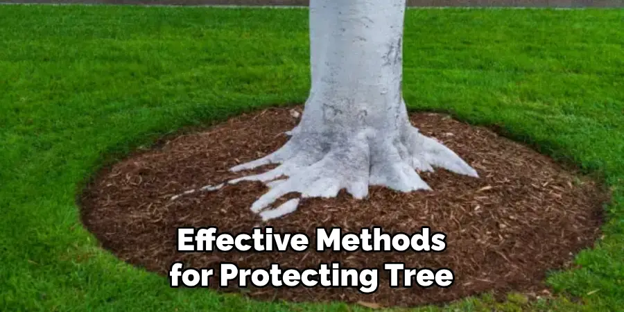 Effective Methods for Protecting Tree