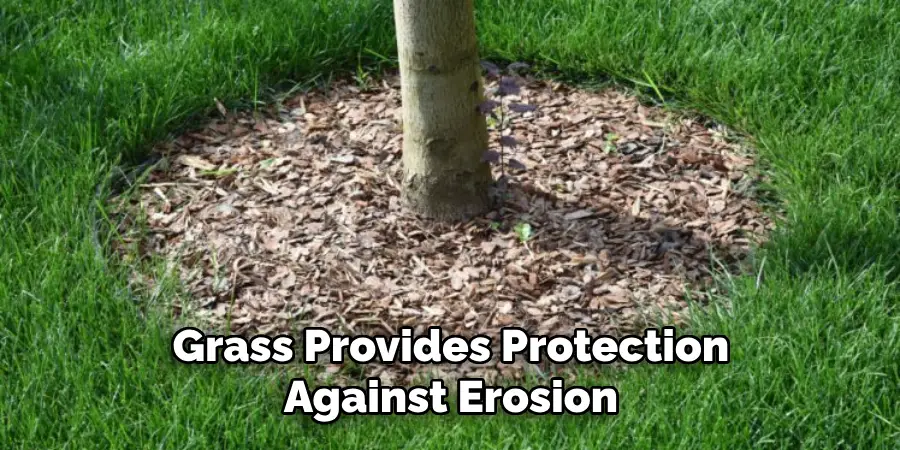 Grass Provides Protection Against Erosion