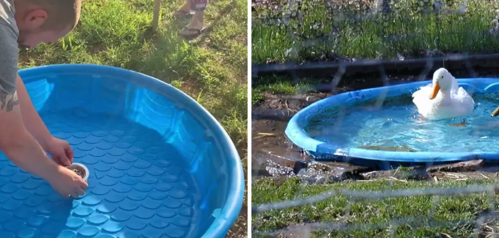 How to Keep a Duck Pool Clean