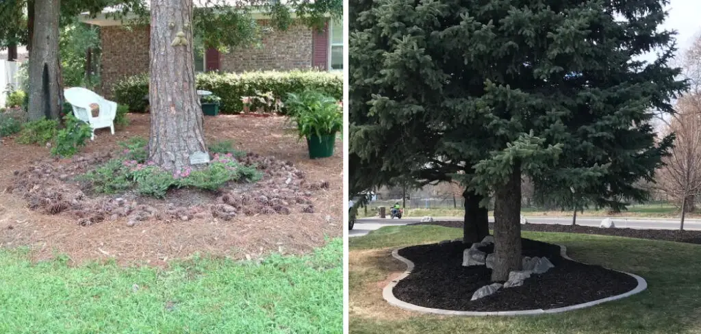 How to Landscape Under Pine Trees