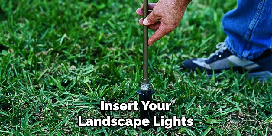 Insert Your Landscape Lights