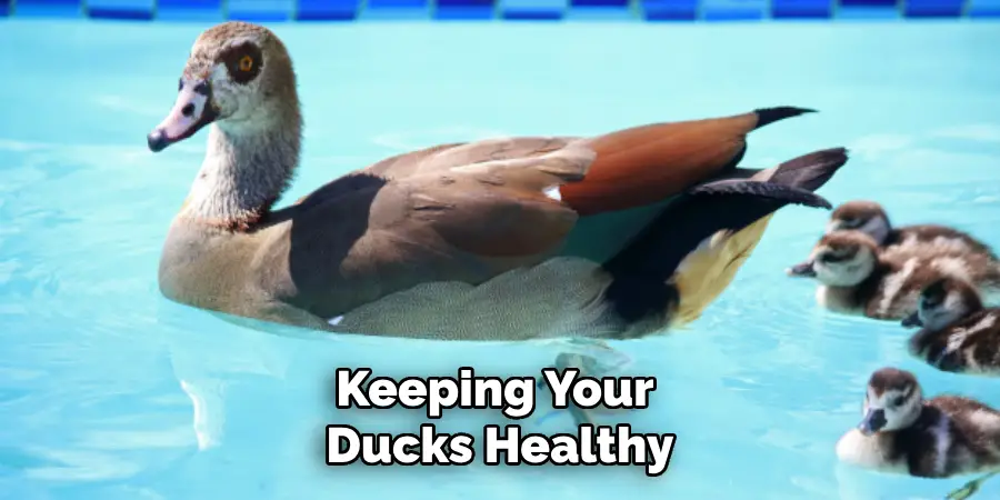 Keeping Your Ducks Healthy