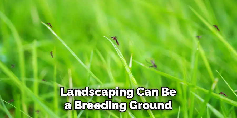 Landscaping Can Be a Breeding Ground