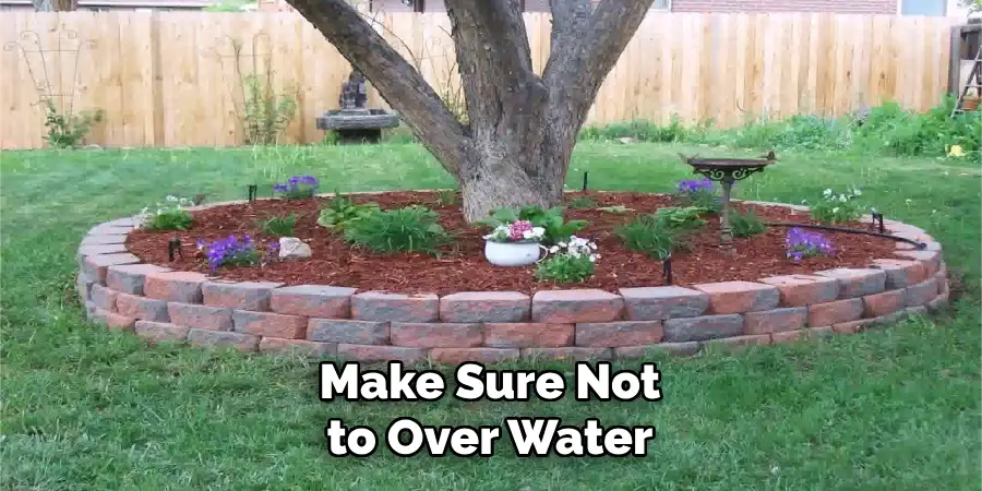 Make Sure Not to Over Water