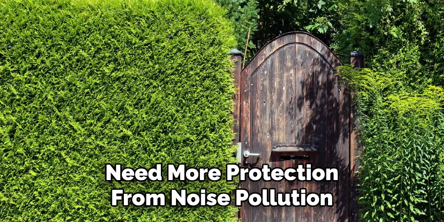 Need More Protection From Noise Pollution