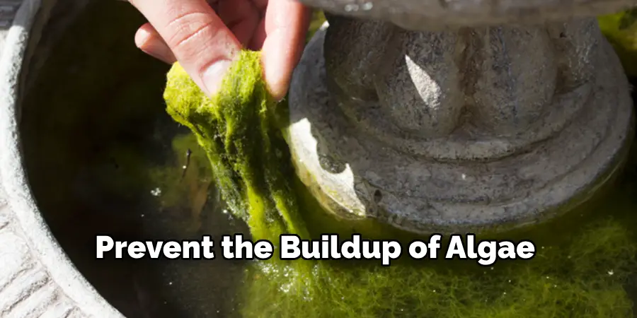 Prevent the Buildup of Algae