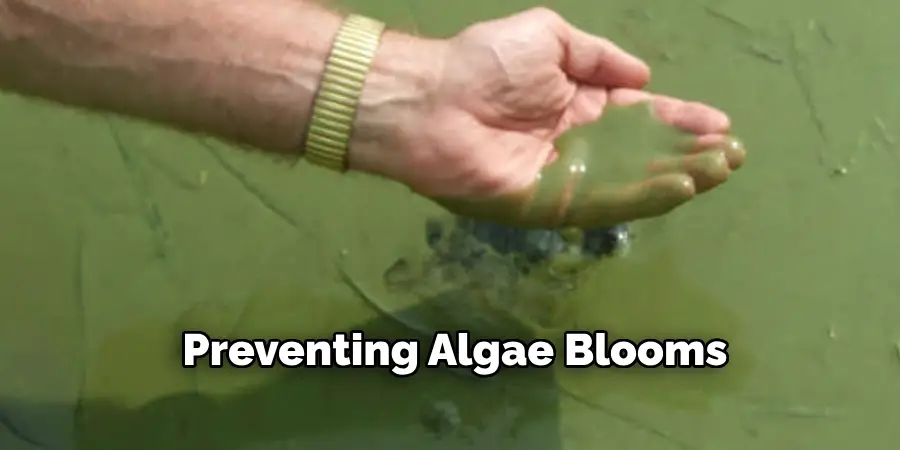 Preventing Algae Blooms