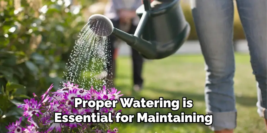 Proper Watering is Essential for Maintaining