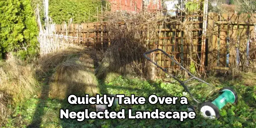 Quickly Take Over a Neglected Landscape