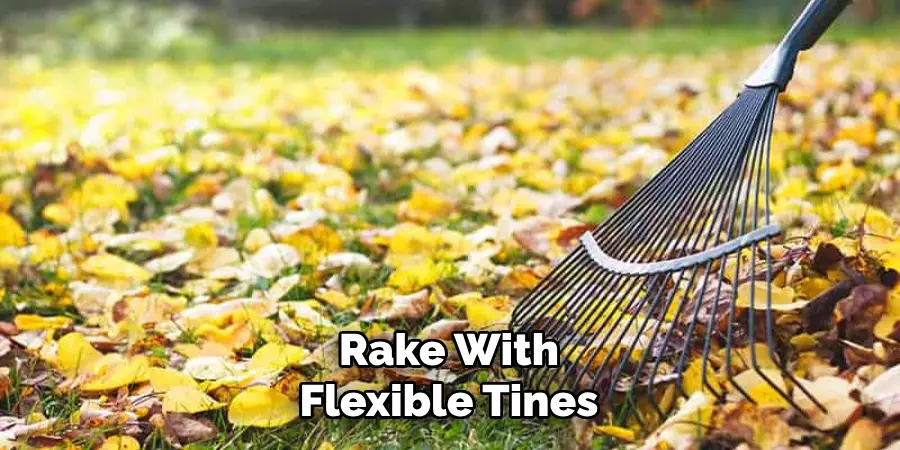 Rake With Flexible Tines