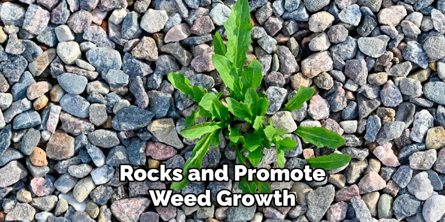 Rocks and Promote Weed Growth