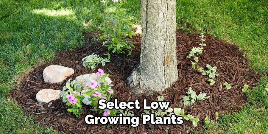 Select Low Growing Plants