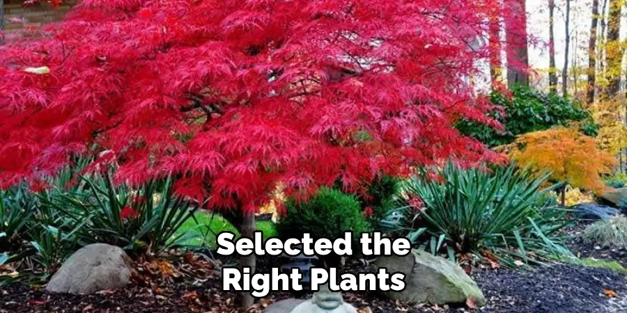 Selected the Right Plants