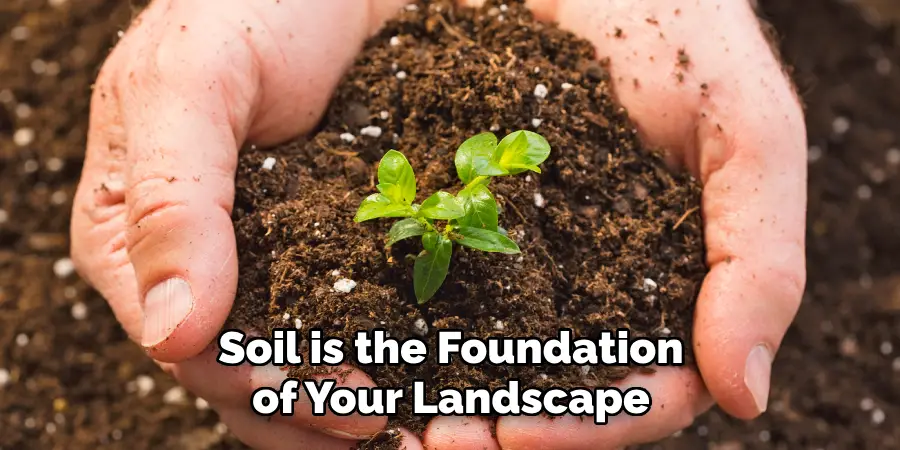 Soil is the Foundation of Your Landscape