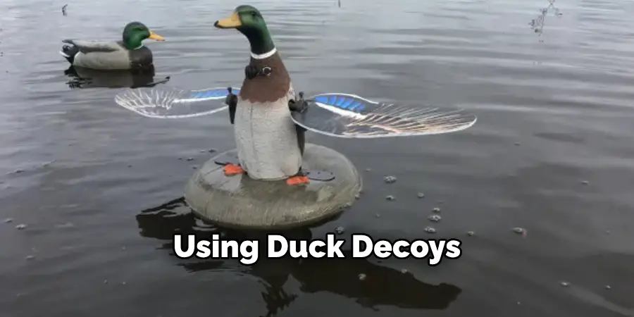 Using Duck Decoys