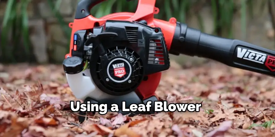 Using a Leaf Blower