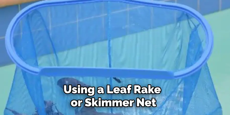 Using a Leaf Rake or Skimmer Net
