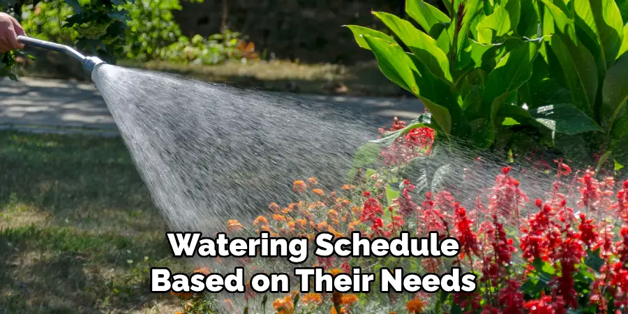 Watering Schedule Based on Their Needs