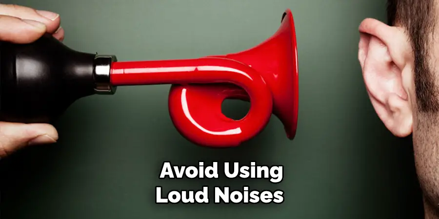  Avoid Using Loud Noises