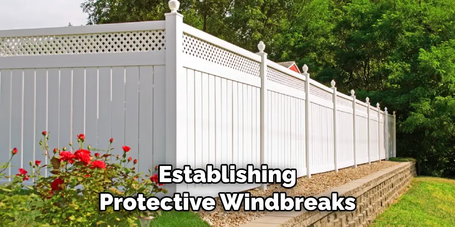 Establishing Protective Windbreaks