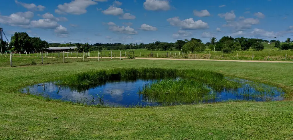 How to Measure Pond Size
